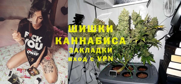 индика Кукмор