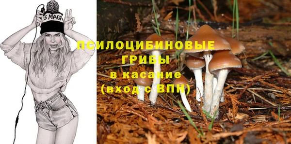 индика Кукмор