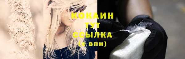 индика Кукмор