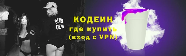 индика Кукмор
