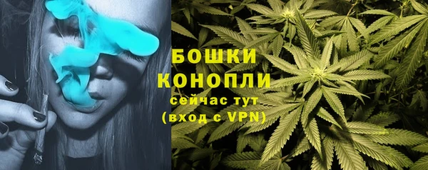 индика Кукмор