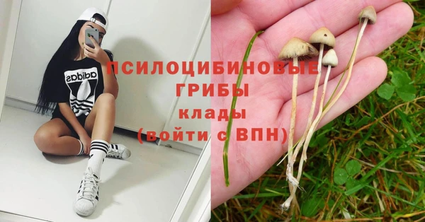 не бодяженный Кулебаки
