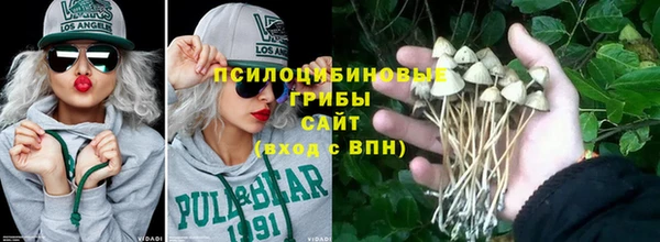 индика Кукмор