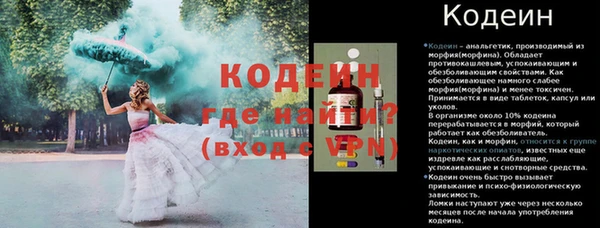 индика Кукмор