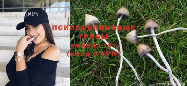 дживик Куйбышев