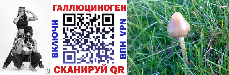 Галлюциногенные грибы Psilocybine cubensis  где купить   Райчихинск 